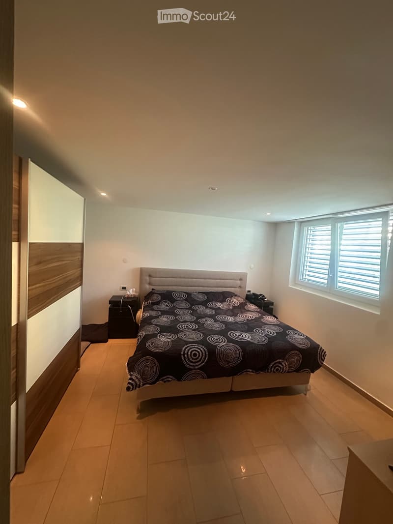 Grande appartamento 2,5 locali indipendente con giardino (4)