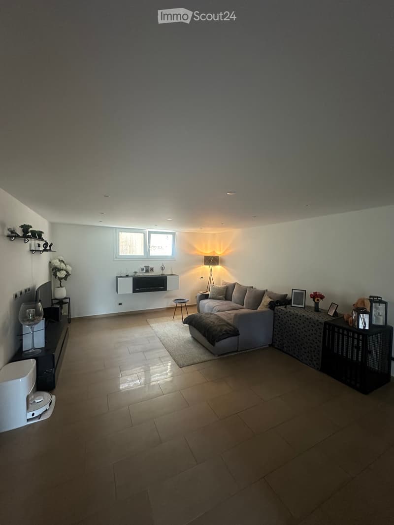 Grande appartamento 2,5 locali indipendente con giardino (2)