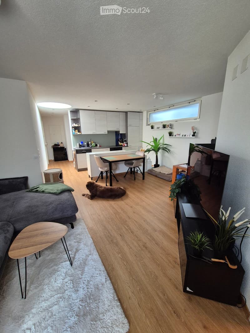 2.5 Zimmerwohnung in Root ab 1.November (2)