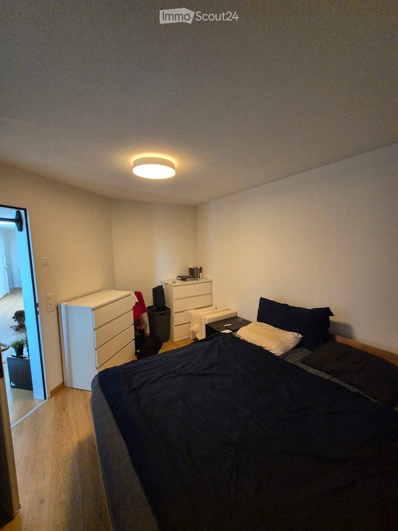 2.5 Zimmerwohnung in Root ab 1.November (4)