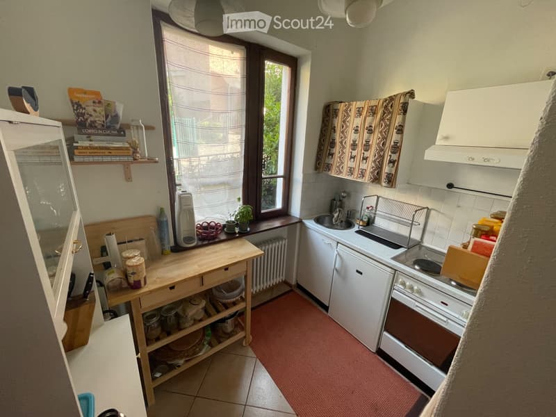 3 locali con giardino a Viganello (4)