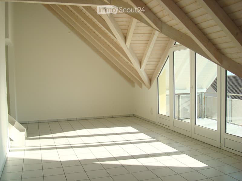 ***Charmante Maisonettewohnung*** (3)