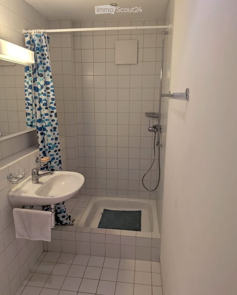 Kleine Wohnung in Baden-Dättwil - Naturnah und zentral (4)
