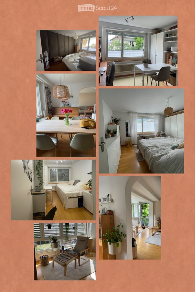 5 1/2 Wohnung ab 1. November 2026 in Altdorf zu vermieten (3)
