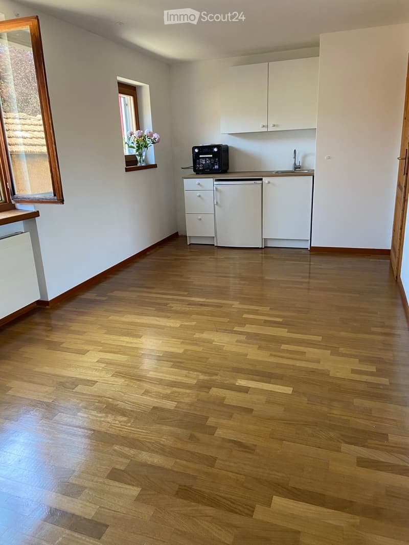 Vermiete 2 Zimmer in ruhigem Einfamilienhaus (3)