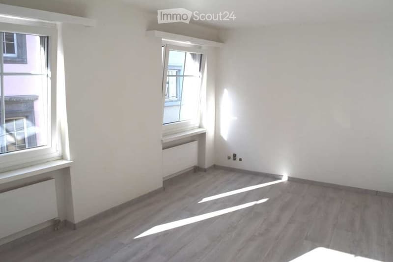 Im Herzen der Stadt 1 Zimmer im wunderschönen "Niederdörfli" (2)