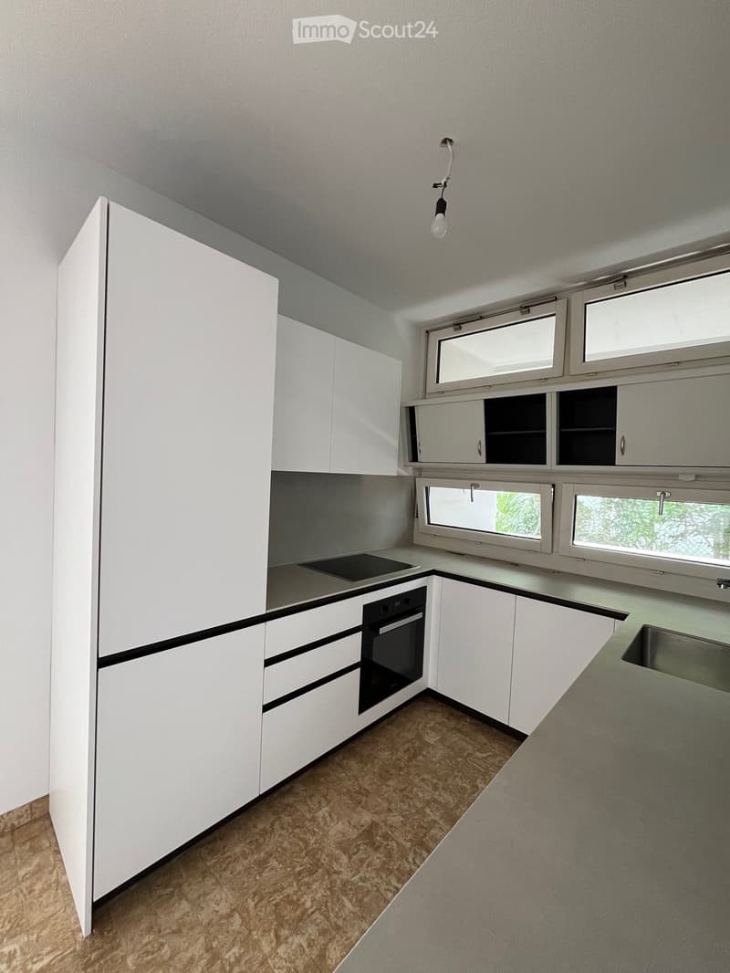 Splendido appartamento con vista lago (5)
