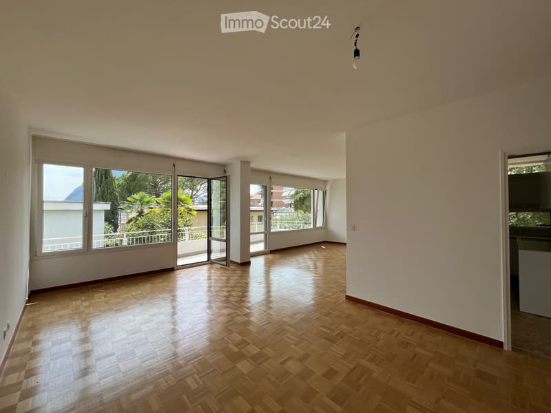 Splendido appartamento con vista lago (4)