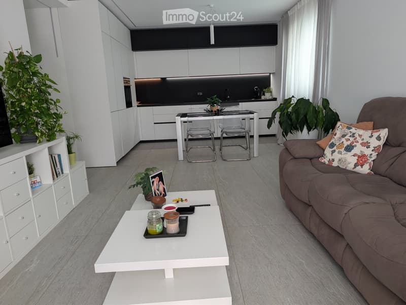 3,5 locali moderno e luminoso allultimo piano Chiasso (1)