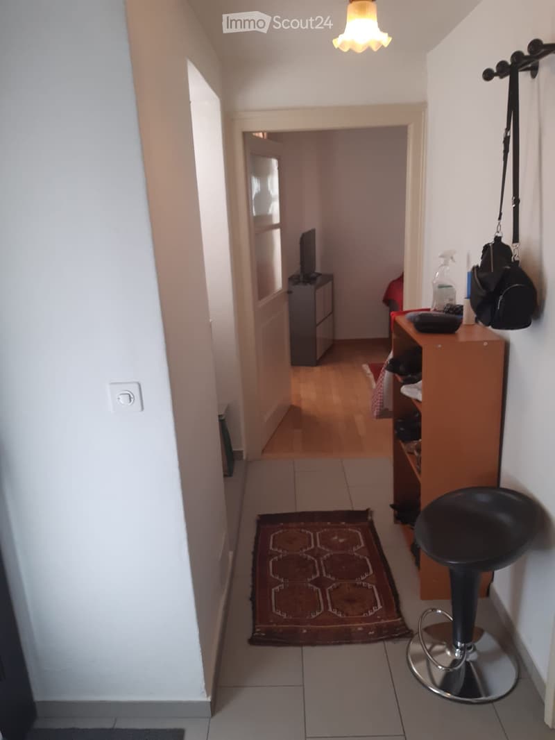 Affittasi Appartamento 2 locali nel Centro Storico Locarno (4)