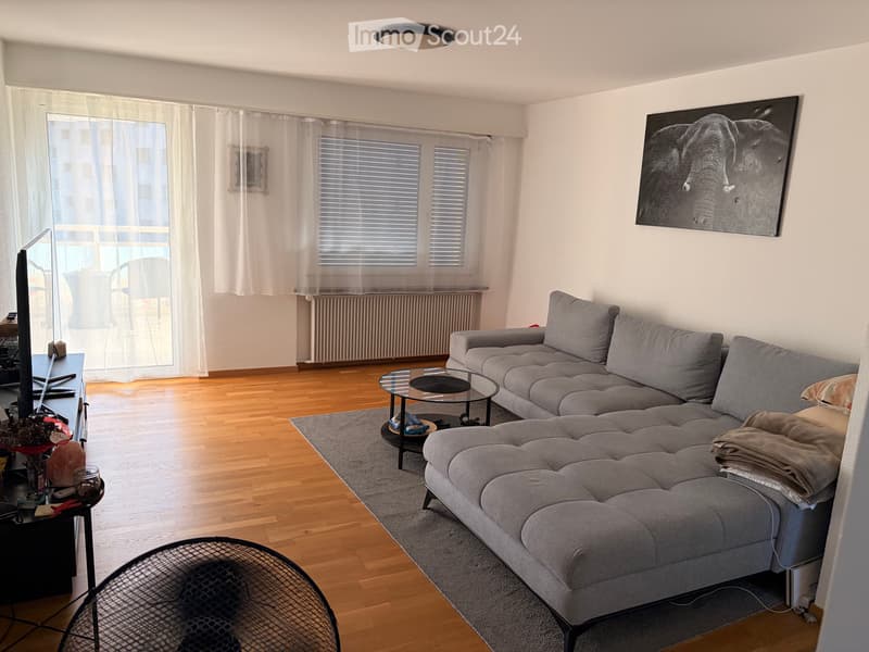 3 Zimmer Wohnung (1)