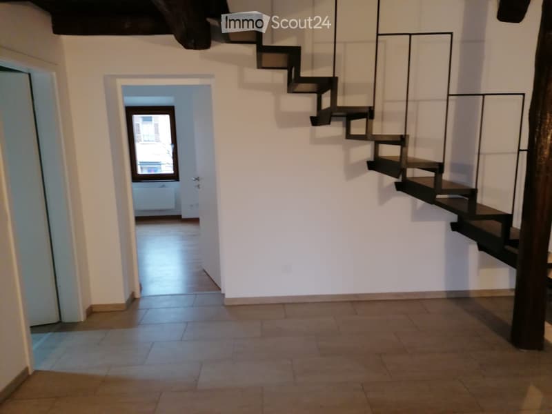 Luminoso, accogliente appartamento ristrutturato (5)