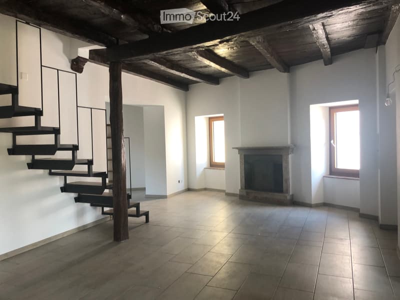Luminoso, accogliente appartamento ristrutturato (3)