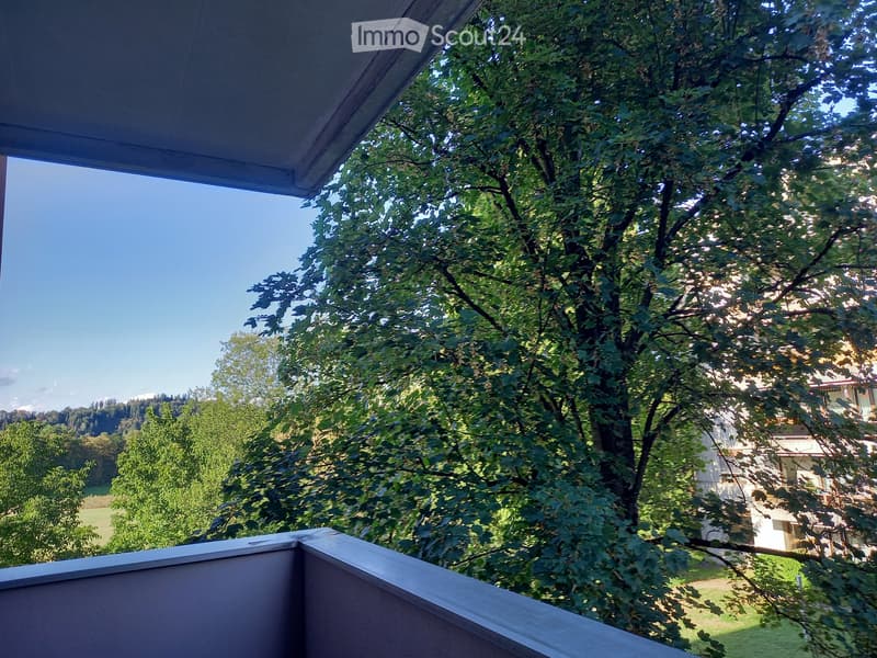 1 5 Zimmer Erstbezug nach Renovierung mit schönem Ausblick (3)