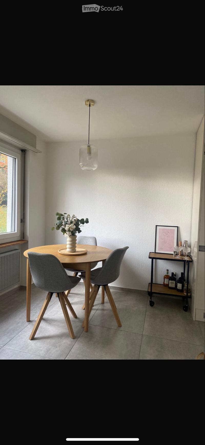 Jolie appartement de 2.5pcs (5)