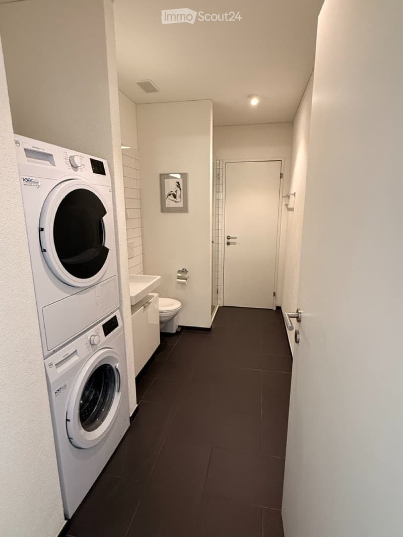 Modernes Apartment in Lenzburg (3)