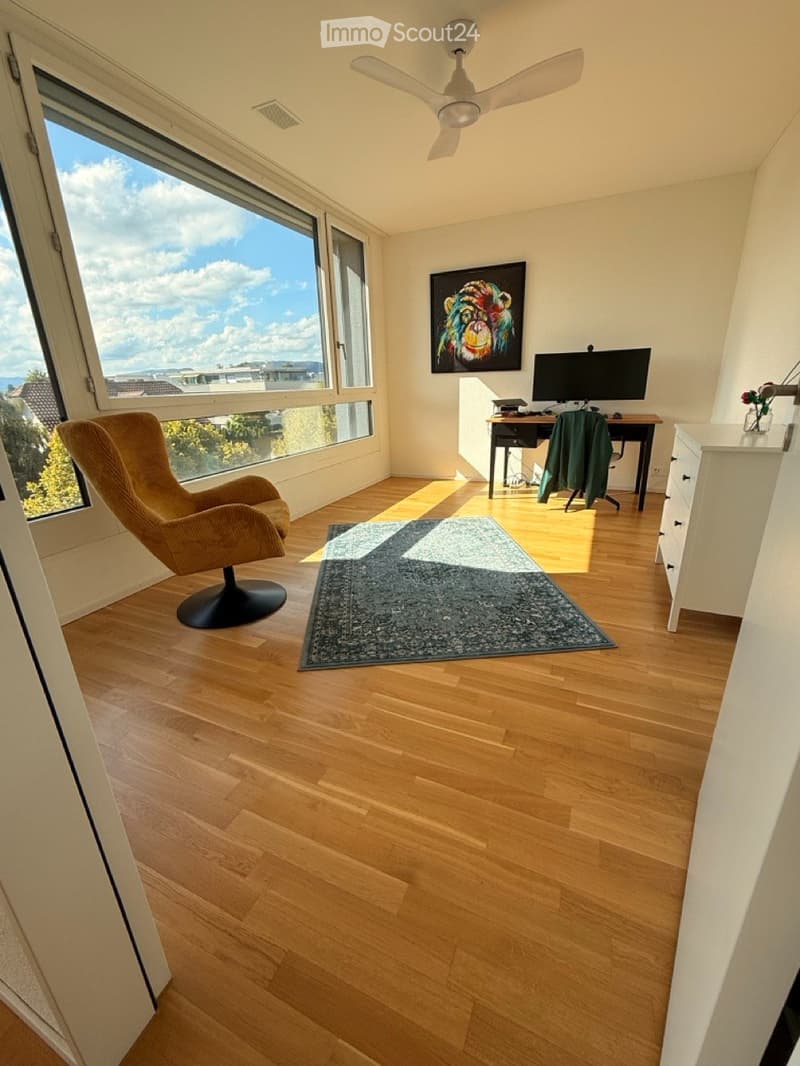 Modernes Apartment in Lenzburg (5)