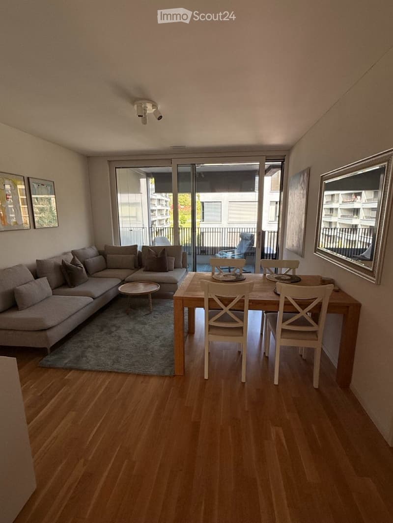 Modernes Apartment in Lenzburg (4)