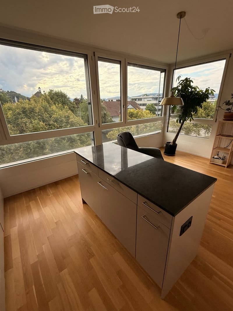 Modernes Apartment in Lenzburg (2)