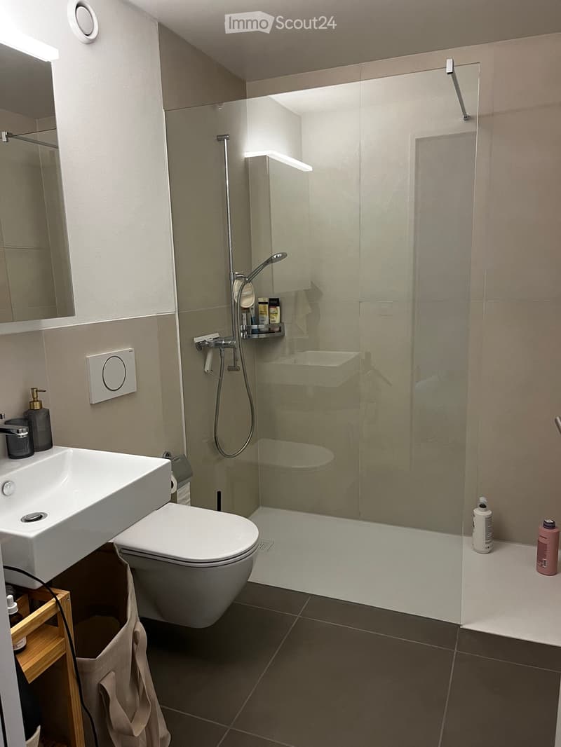 2.5-Zimmer-Wohnung direkt an der Emme Nachmieter gesucht (3)