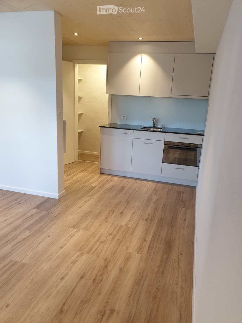 Schmuckes 1-Zimmer-Studio mit Reduit zu vermieten (2)