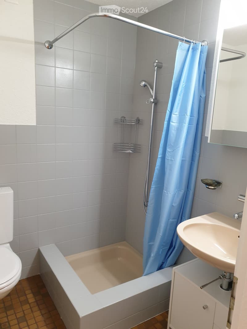 Schmuckes 1-Zimmer-Studio mit Reduit zu vermieten (4)