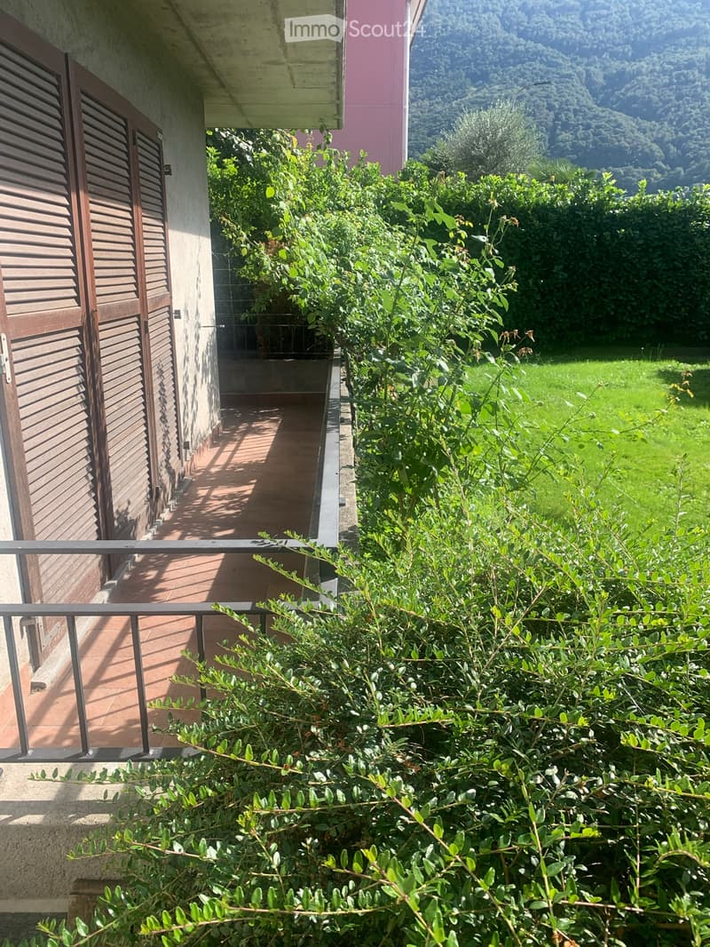 Affittasi S.Antonino 3.5 locali con giardino (4)