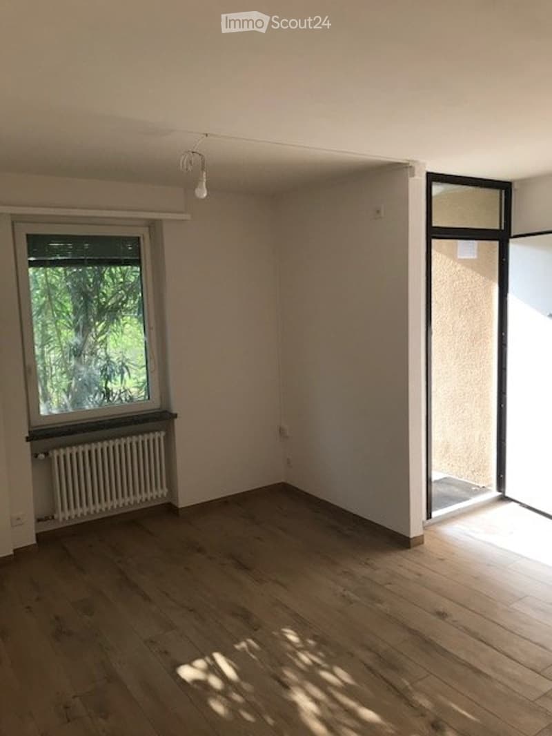 Appartamento in  affitto a Paradiso (4)