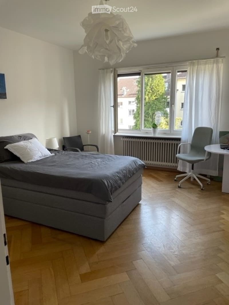 Möbliertes 1 Zimmer Idealer Lage in Herzen Zürich. (1)