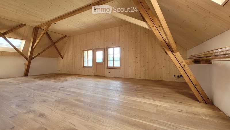 Neue Dachwohnung im Grünen  60 Min. Bern/Luzern (2)