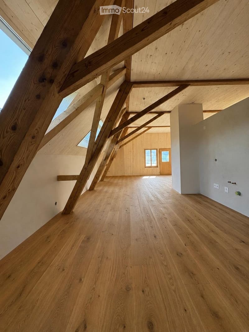 Neue Dachwohnung im Grünen  60 Min. Bern/Luzern (3)