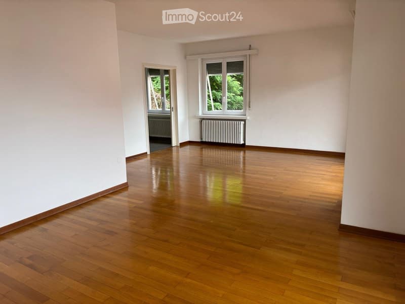 Affittasi appartamento con vista lago (3)