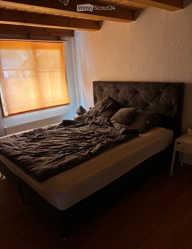 Gemütliche 3,5-Zimmer-Wohnung zu vermieten (5)