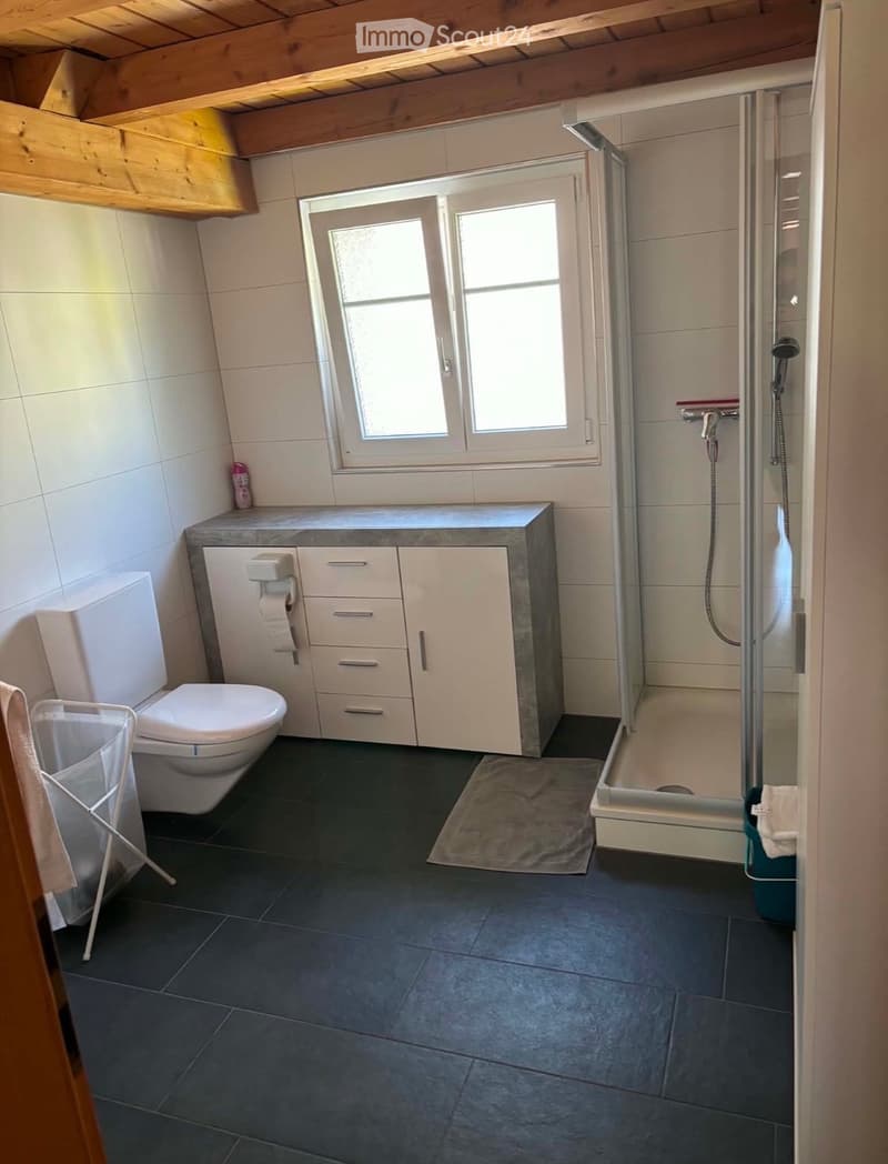 Gemütliche 3,5-Zimmer-Wohnung zu vermieten (3)