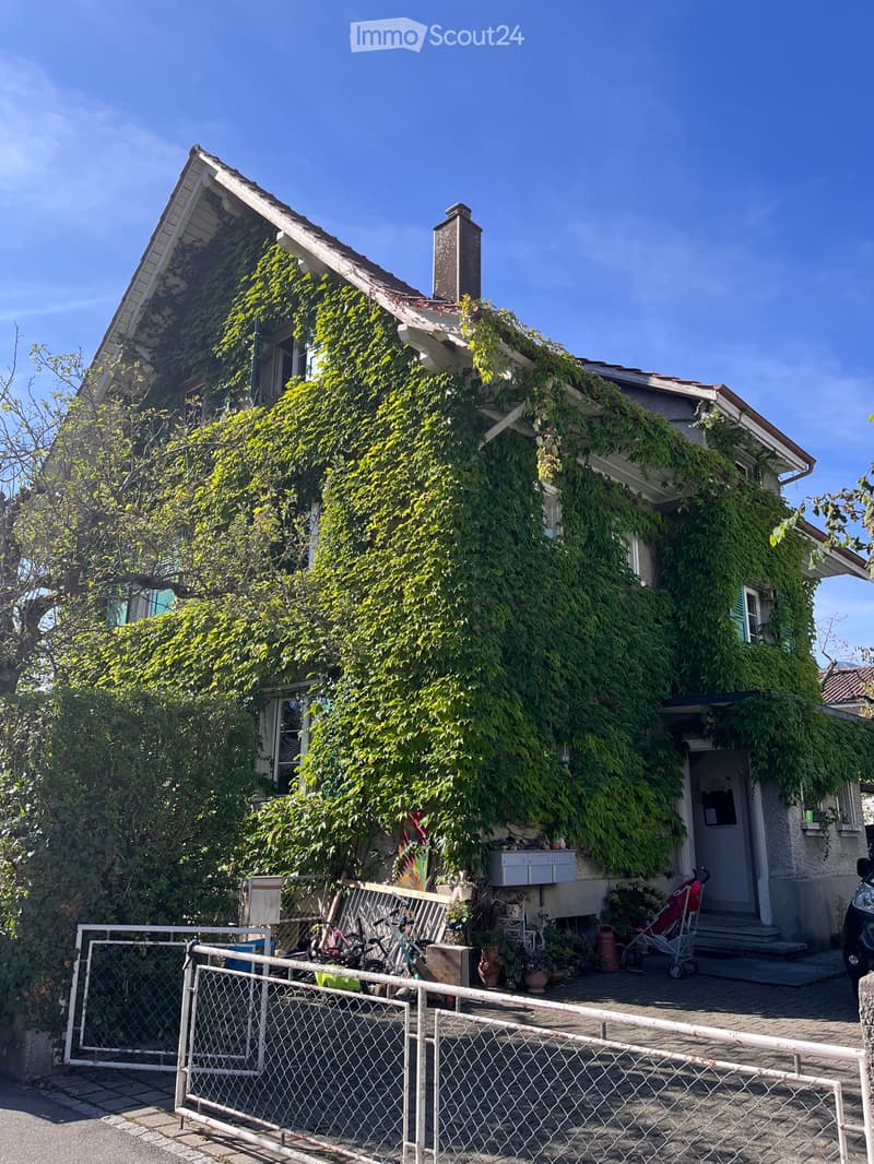 Zimmer zu vermieten (5)