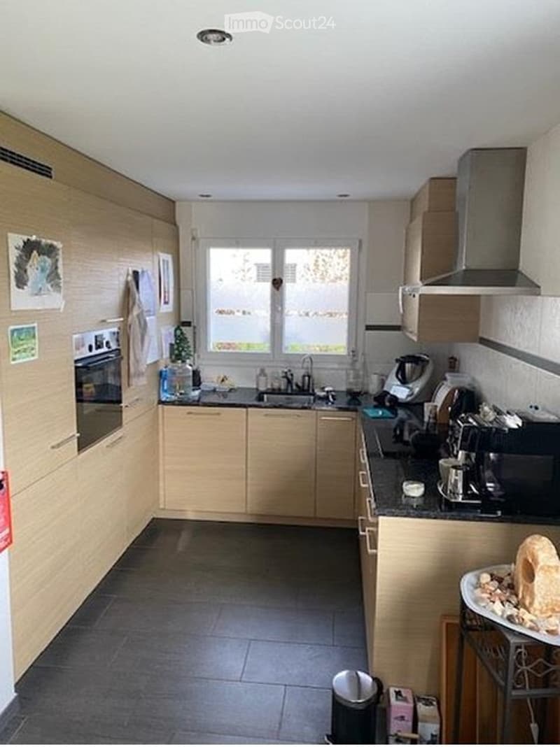 3 1/2 Zimmerwohnung (4)