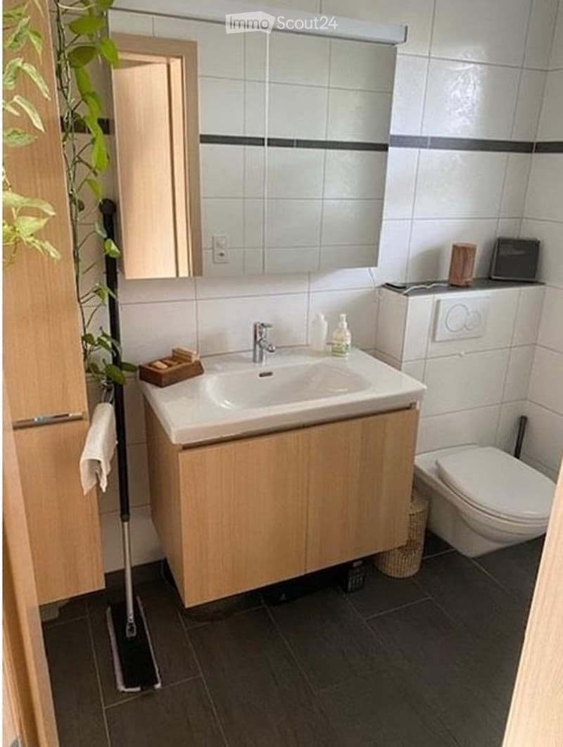 3 1/2 Zimmerwohnung (2)