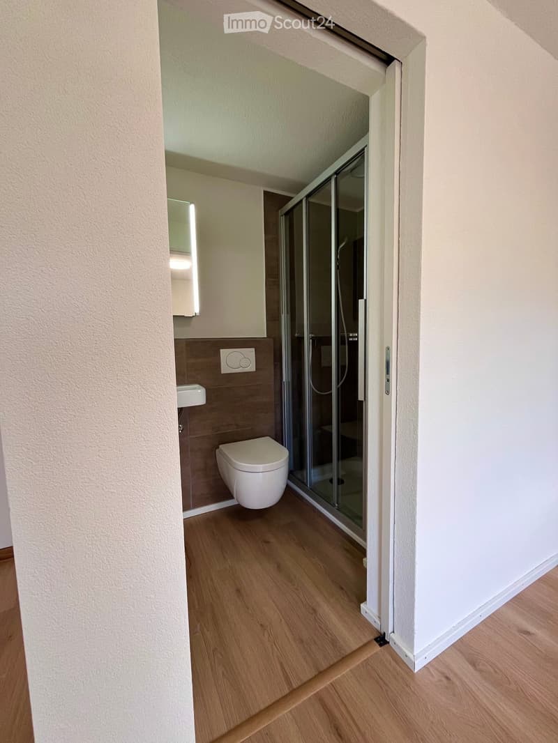 Schöne 2.5-Zimmer-Wohnung am Seetalplatz in Luzern (5)