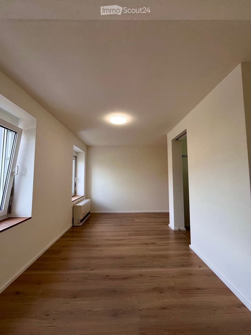 Schöne 2.5-Zimmer-Wohnung am Seetalplatz in Luzern (3)