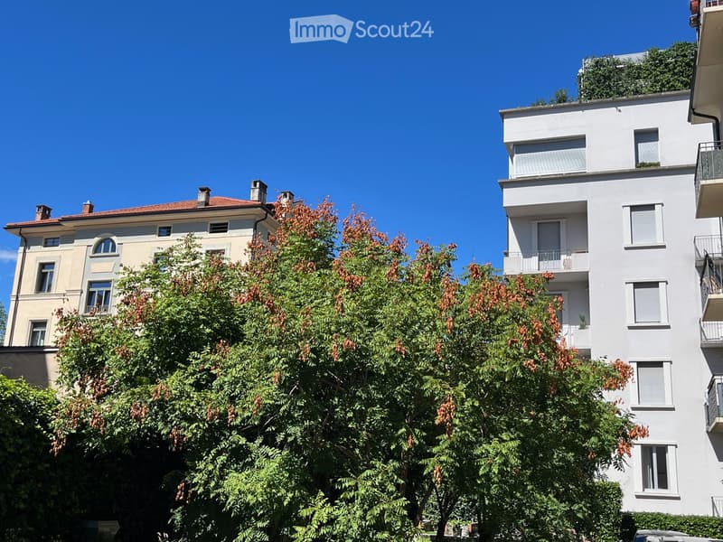 Appartamento /ufficio luminoso e rinnovato zona università (1)