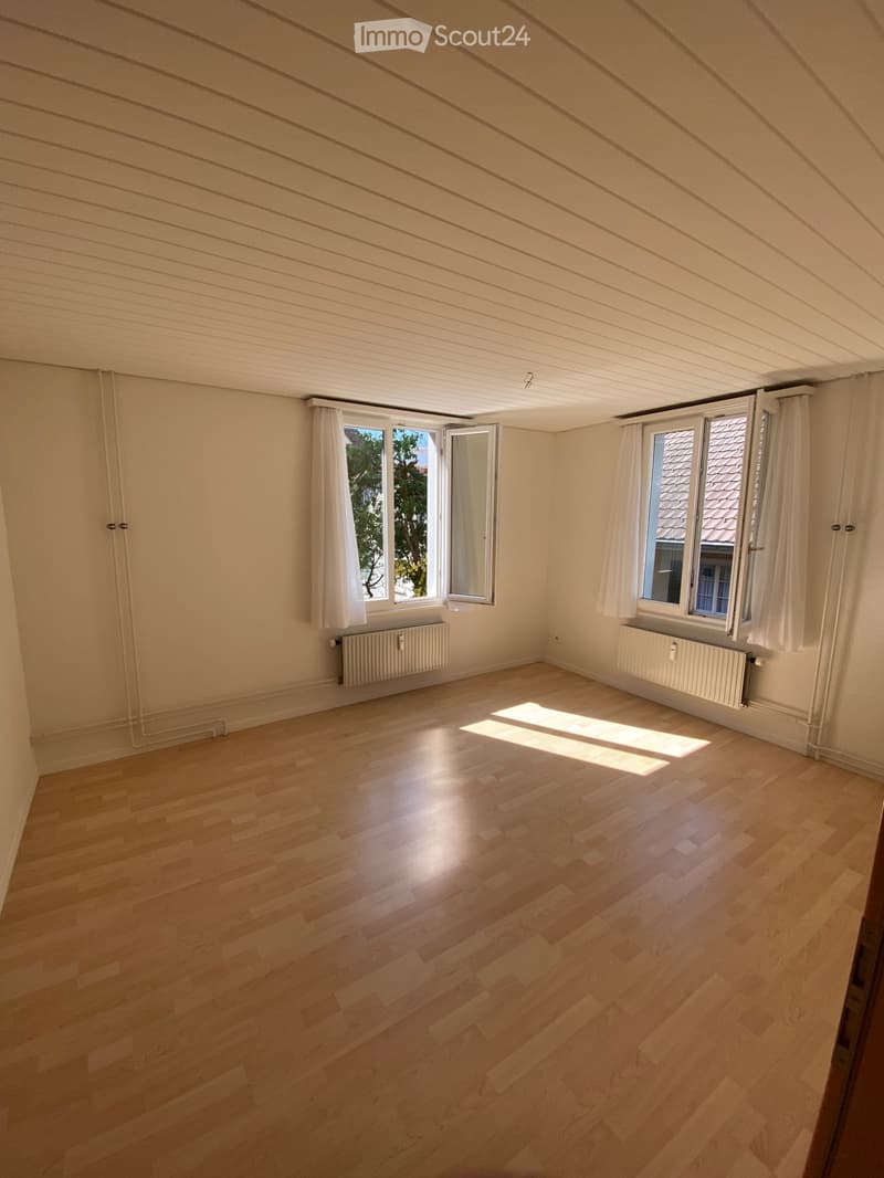 3-Zimmer-Altbauwohnung mit Seesicht in 6415 Arth (3)