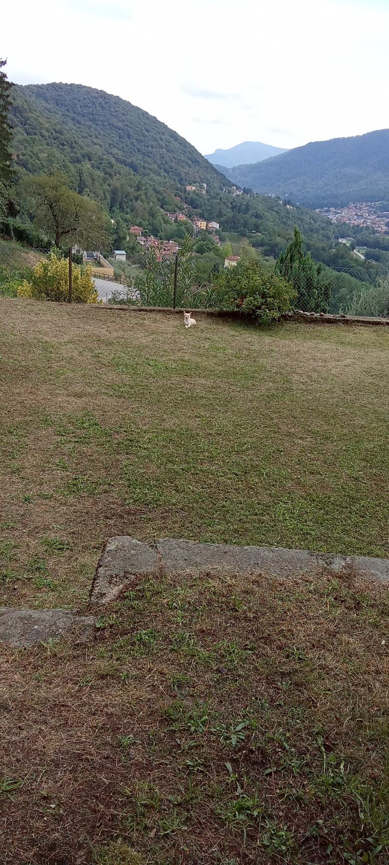 Appartamento con giardino (6)
