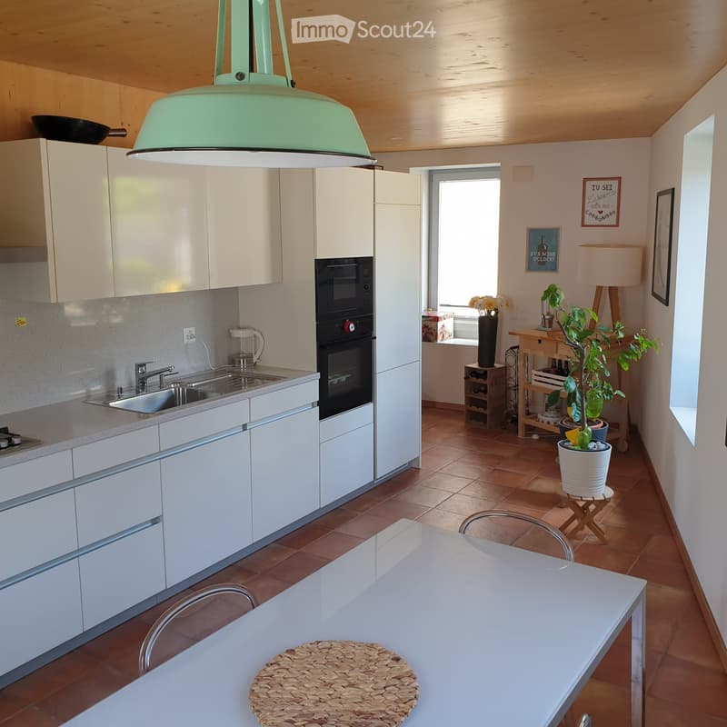 AFFITTASI a BARBENGO, in collina, LOFT molto luminoso (3)