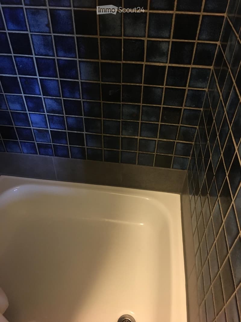 Studio zu vermieten mit schöner Aussicht. (4)