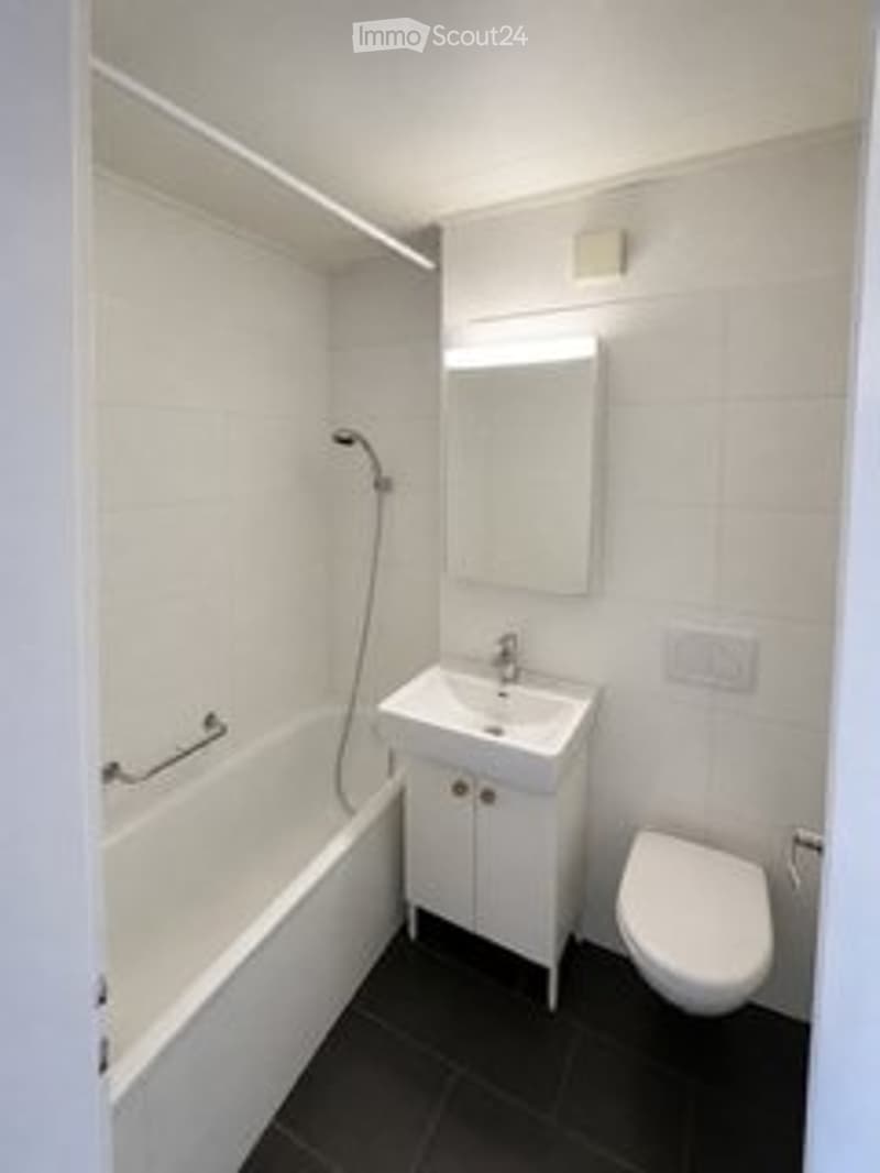 Schöne 3 Zimmer Wohnung zu vermieten (5)