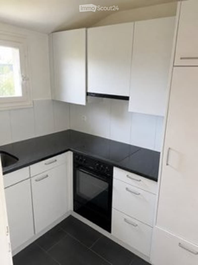 Schöne 3 Zimmer Wohnung zu vermieten (3)