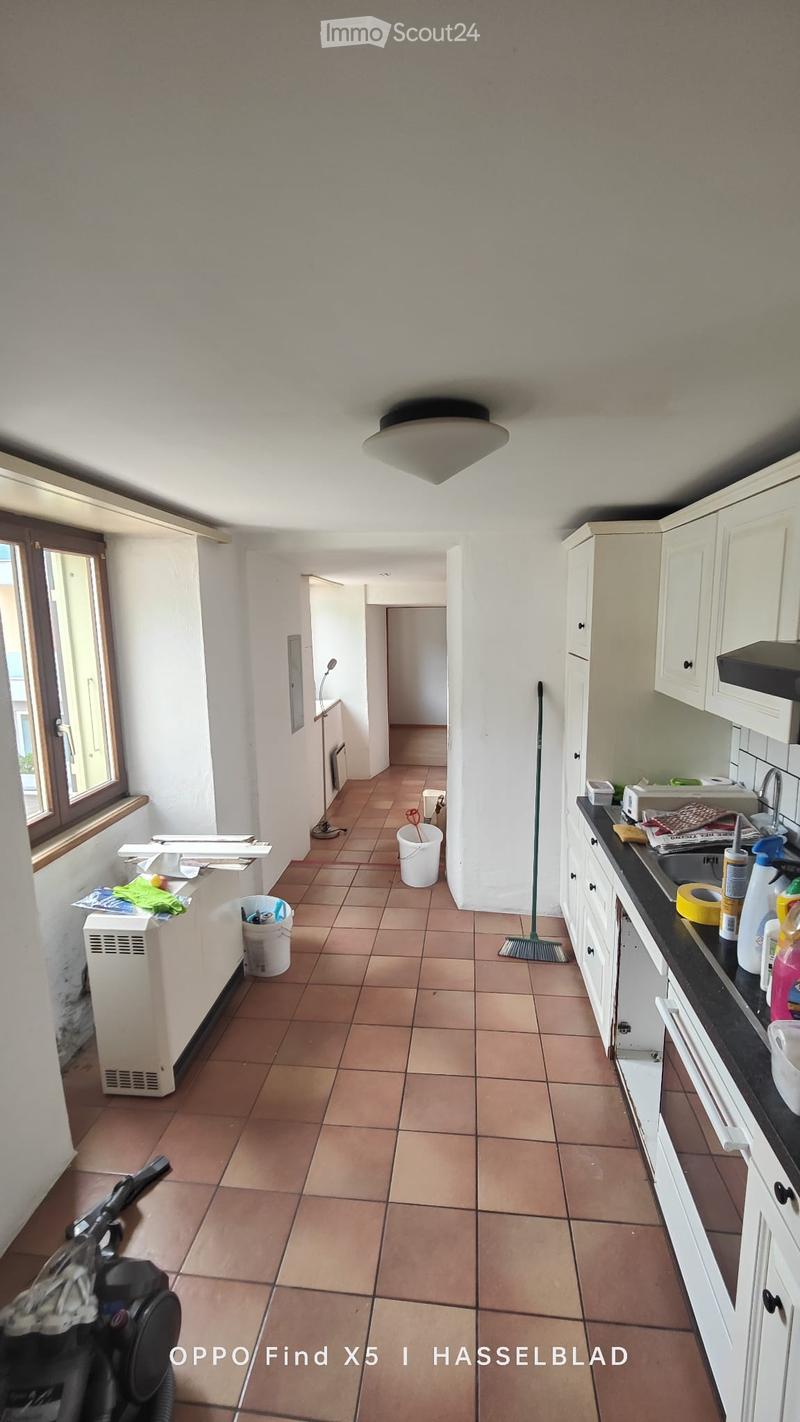 Accogliente appartamento 2.5 locali a Camignolo (2)
