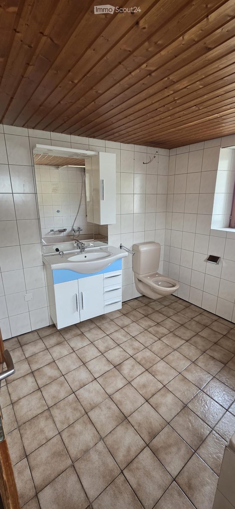 Accogliente appartamento 2.5 locali a Camignolo (3)