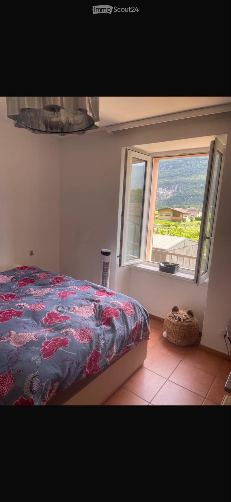 Affittiamo luminoso e tranquillo 3,5 locali (3)