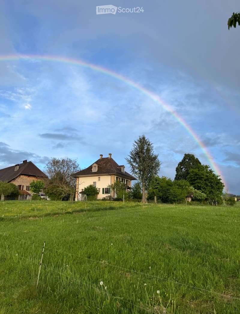 WG Zimmer in 4er WG ab sofort oder nach Vereinbarung (3)